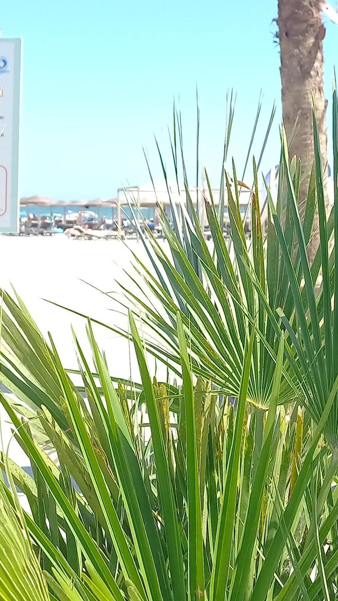 Luxury Promenada Apartment - Frontal Beachfront Mamaia Nord Năvodari Exterior foto